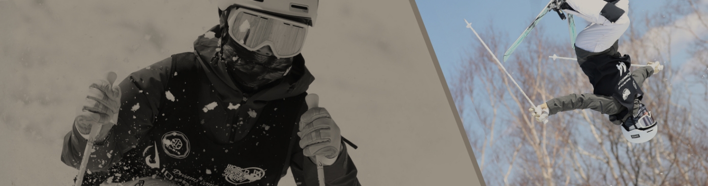 ページタイトル背景